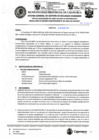 Vista preliminar de documento ROS-30