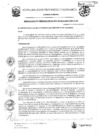 Vista preliminar de documento RGM-21