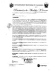 Vista preliminar de documento RA-33