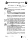 Vista preliminar de documento RA-35