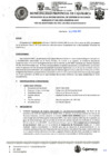 Vista preliminar de documento ROS-41