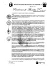 Vista preliminar de documento RA-31
