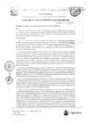 Vista preliminar de documento RGM-20