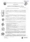 Vista preliminar de documento RGM-08