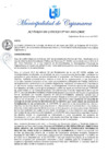 Vista preliminar de documento AC-001