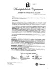 Vista preliminar de documento AC-65