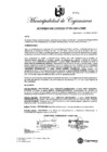 Vista preliminar de documento AC-81