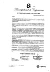 Vista preliminar de documento AC-17