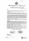 Vista preliminar de documento AC-20