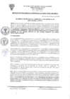Vista preliminar de documento RGM_0024-2020_GM_MDSA