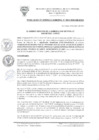 Vista preliminar de documento RGM_0014-2020_GM_MDSA