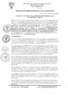Vista preliminar de documento RGM_0012-2020_GM_MDSA