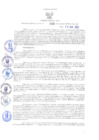 Vista preliminar de documento RGRI N° 019-2022