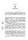 Vista preliminar de documento RGRI N° 020-2022