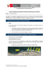 Vista preliminar de documento Reporte de acciones adoptadas por las EFA - 13 de marzo de 2022