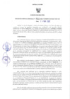 Vista preliminar de documento RGRI N° 021-2022