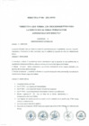 Vista preliminar de documento 01. DIRECTIVA-N001-2021-MPSI-RA439.pdf