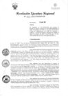 Vista preliminar de documento RER  043-2022-GRSM-GR