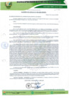 Vista preliminar de documento Documento (47).pdf