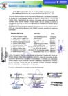 Vista preliminar de documento VALIDACION 2022.pdf