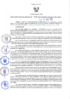 Vista preliminar de documento RGRDS N° 056-2022