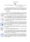 Vista preliminar de documento RGRDS N° 061-2022