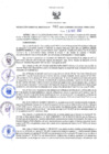 Vista preliminar de documento RGRDS N° 062-2022