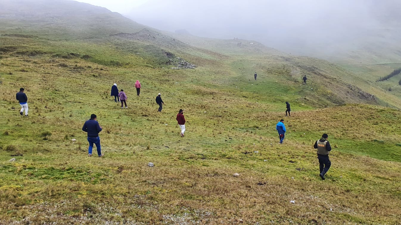 Personas buscando en campo