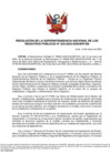Vista preliminar de documento RES 035-2022-SUNARP-SN
