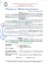 Vista preliminar de documento Resolución de Alcaldía N° 306-2019-MDCA/A.pdf