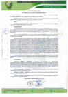Vista preliminar de documento Documento (1).pdf