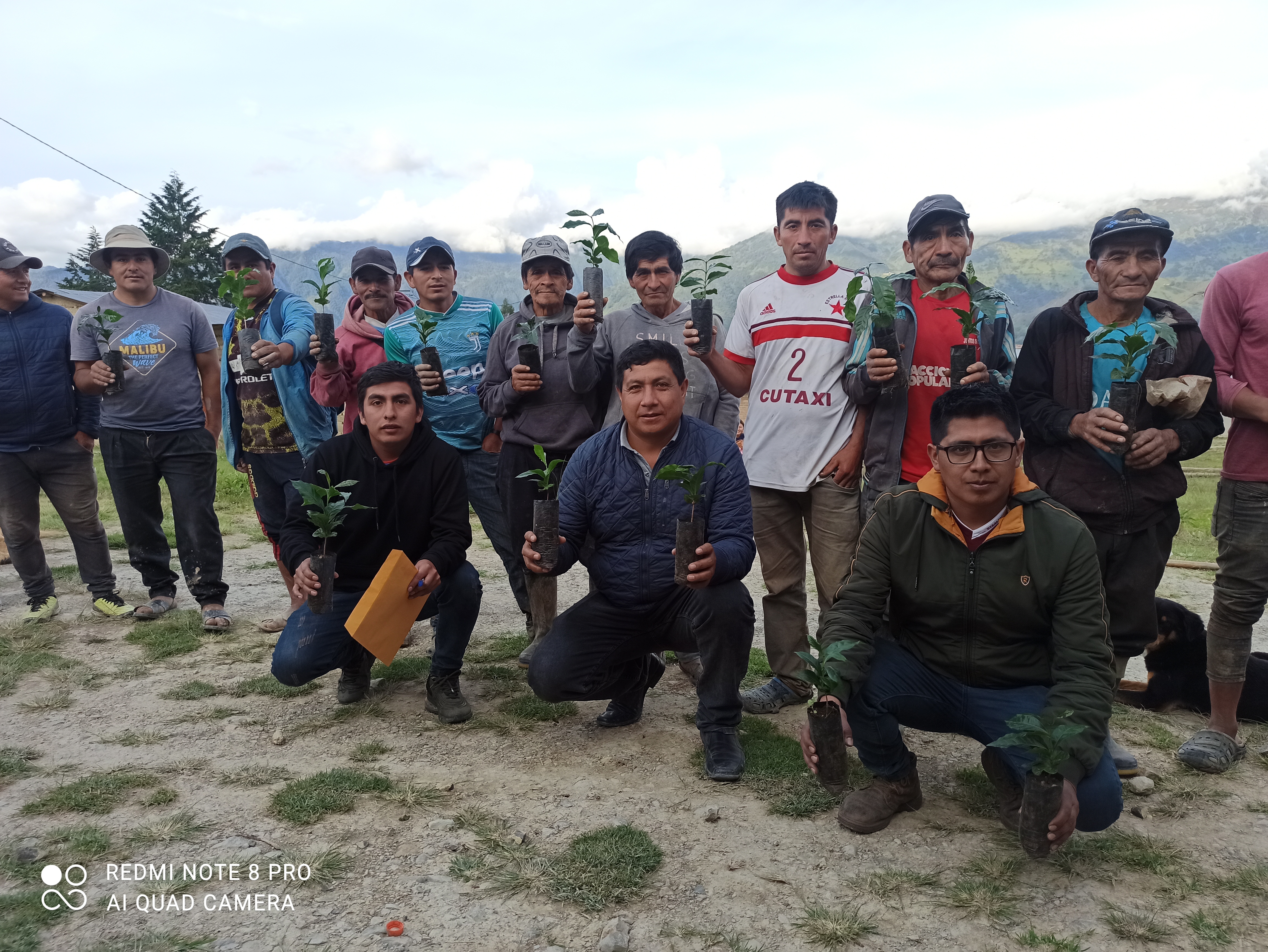 Agricultores reciben plantones de café en Lucmar.