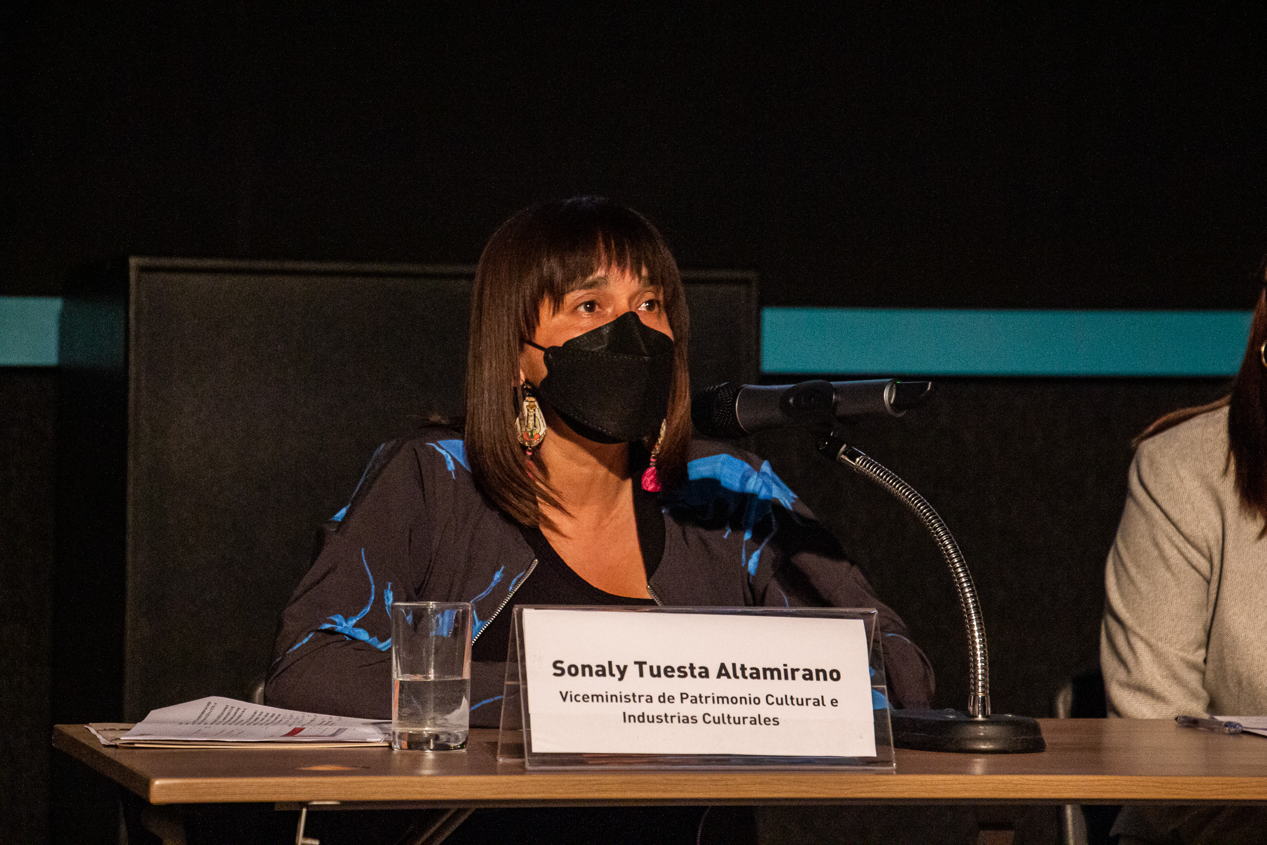 Ministerio de Cultura presentó la propuesta del plan anual para el fomento del sector cinematográfico y audiovisual 2022