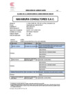 Vista preliminar de documento 1. NAKAMURA-Act. Forma Exp.0175-2025-DA-E 2025-05-12