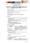Vista preliminar de documento Convocatoria 004-2022-2 pdf