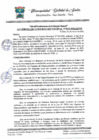 Vista preliminar de documento concejo.pdf