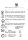 Vista preliminar de documento RER_949_2013.pdf