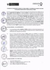 Vista preliminar de documento 2017