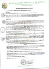 Vista preliminar de documento ORDENANZA MUNICIPAL Nº 003-2020-MPO.pdf