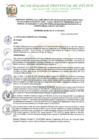 Vista preliminar de documento ORDENANZA MUNICIPAL Nº 007-2020-MPO.pdf