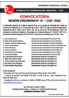 Vista preliminar de documento Convocatoria Sesión Ordinaria 02-2022