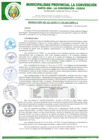 Vista preliminar de documento RA-154-2022-MPLC/A