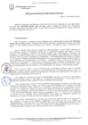 Vista preliminar de documento Resolución Gerencial N° 0008-2020/MPS-GDUeI