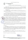 Vista preliminar de documento Resolución Gerencial N° 0010-2020/MPS-GDUeI