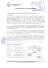 Vista preliminar de documento Resolución Gerencial N° 0133-2020/MPS-GDUeI