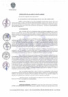 Vista preliminar de documento 0486-2017-MDSJL