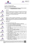Vista preliminar de documento DIRECTIVA-005-2022-GM