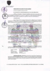 Vista preliminar de documento 0014-2017-MDSJL