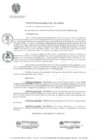 Vista preliminar de documento 0490-2017-MDSJL