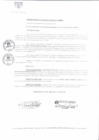 Vista preliminar de documento 0940-2017-MDSJL